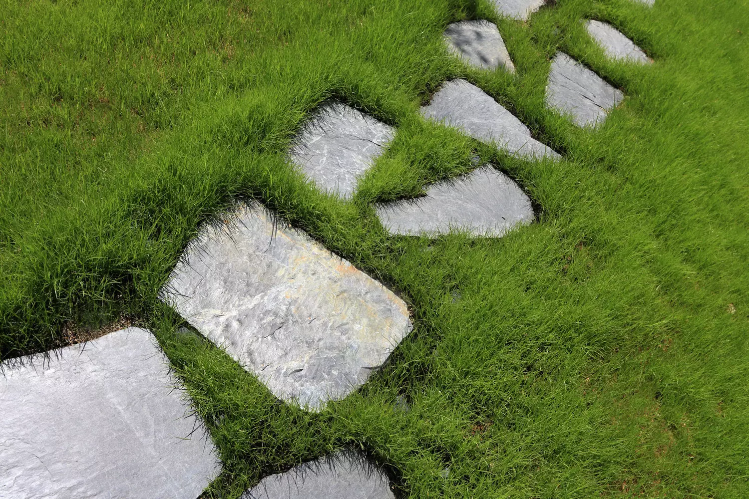pas japonais jardin